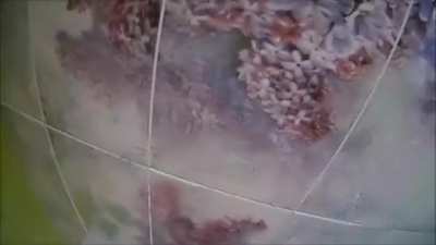 Female POV - Taking a Shower