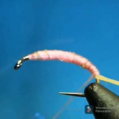 Making a bait caterpillar