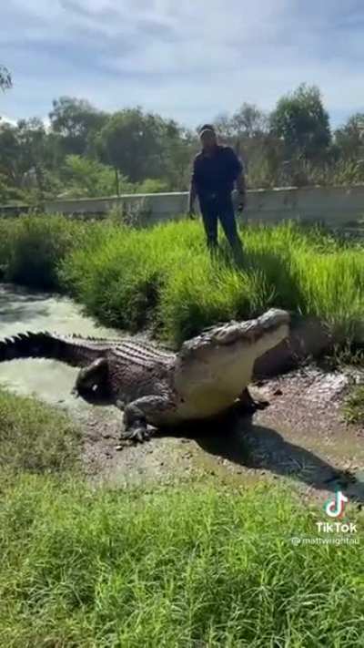 quero um :3