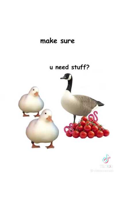 Duck Socialism 🦆