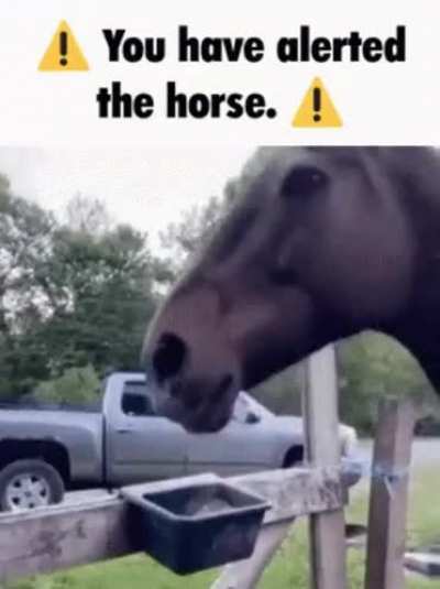 Rule