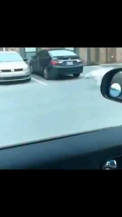 Short but extremely cool