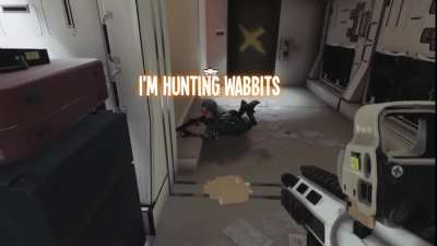 Elmer's final moments