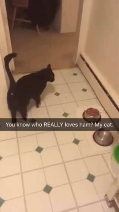 Yoshi wants ham
