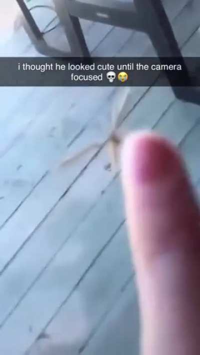 I fucking hate mosquitoes