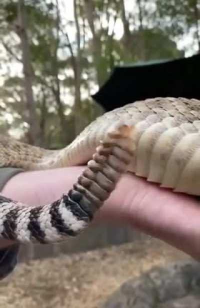 Не заводится.