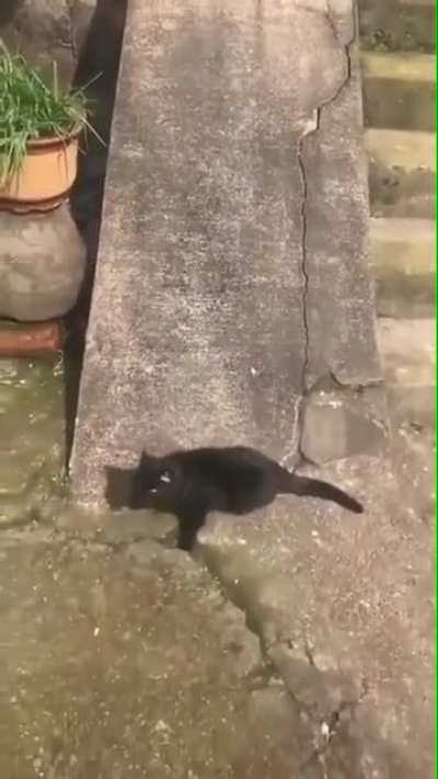 Прикольно, чё..