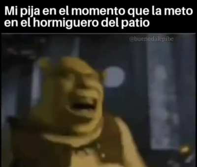 Perdonen estaba caliente