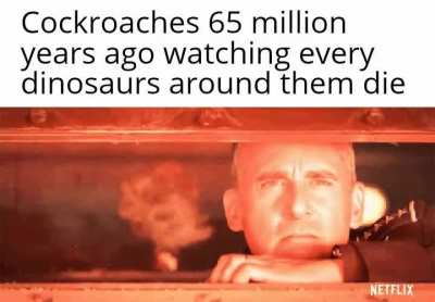 Then cockroaches started to rule the world