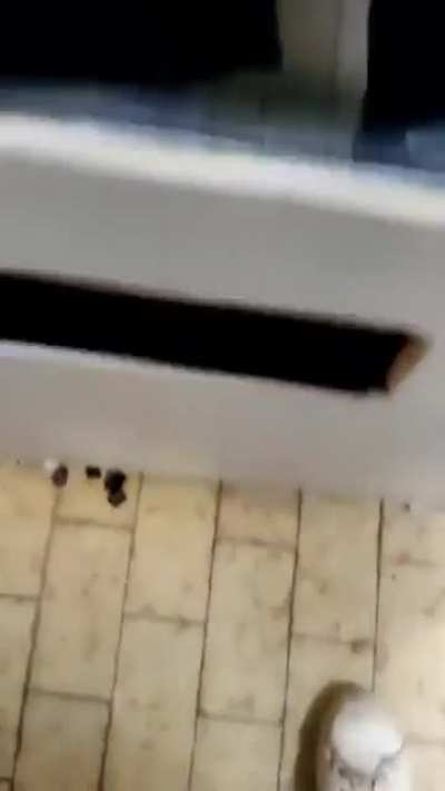 Mit einer SSD w&auml;re das nicht passiert