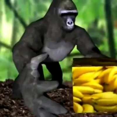 ape cube