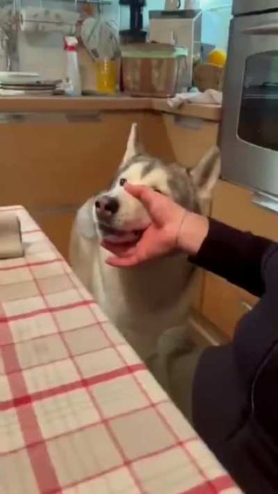 Da dog be speakin&rsquo;
