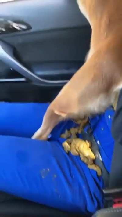 When you go to the shelter &ldquo;just to look&rdquo;