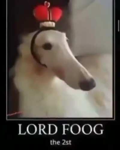 👑