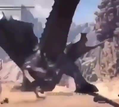 whack that pp