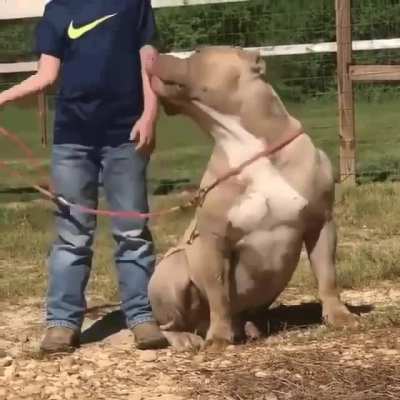 That leash isn&rsquo;t going to help