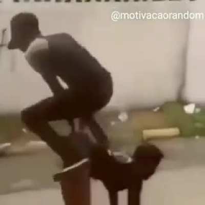 Reflex&atilde;o