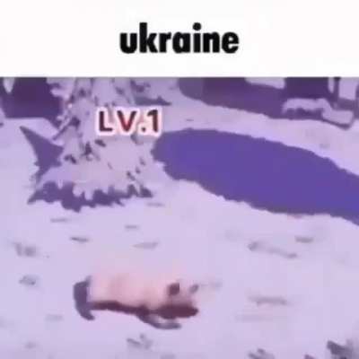 U K R A I N E