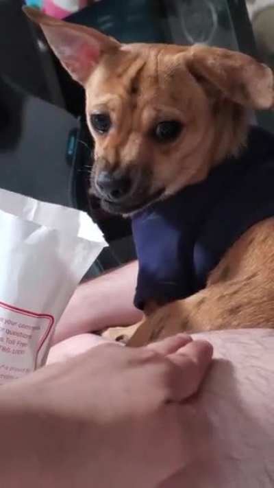 I just wanted some cheeseburger.