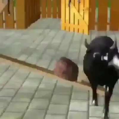 Porqu&ecirc;?