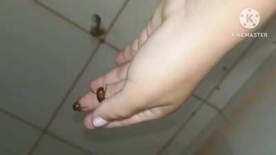 Crush Flip Flop