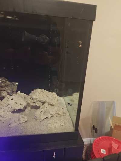 My first fish!