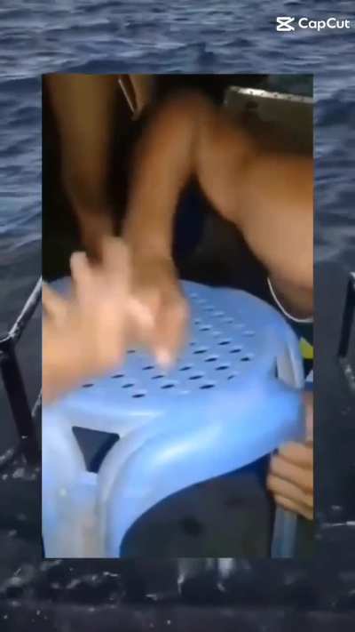 Finger