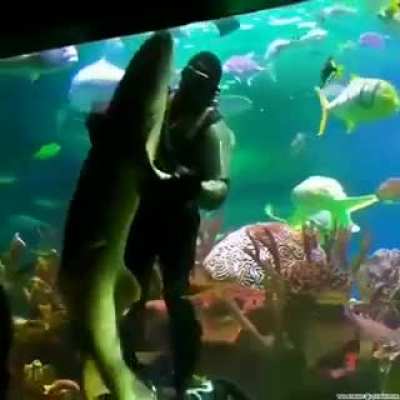 Man dances with a shark