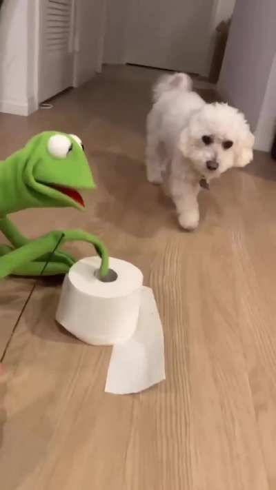 Toilet paper