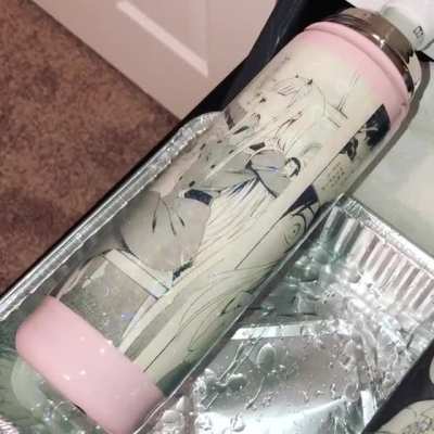 I&rsquo;m making a Zero Two water bottle! It&rsquo;s made with actual manga pages!