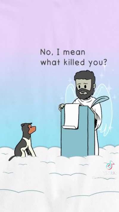 Heart breaking yet beautiful