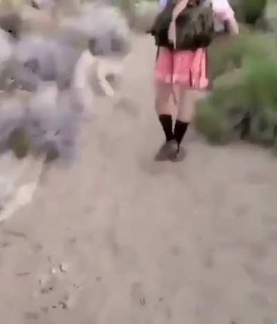 Femboy takeover rule