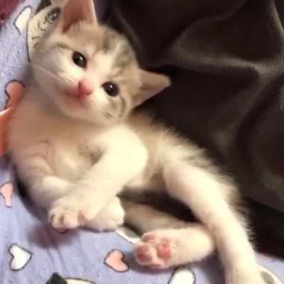 Little sweetie