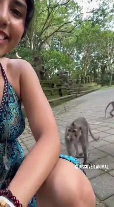 Maybe maybe maybe