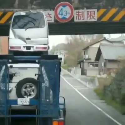 Height of Idiocy