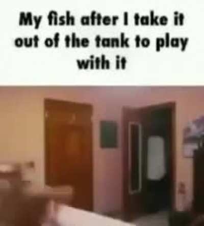 fsh