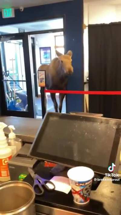 She just wanted a Happy Meal