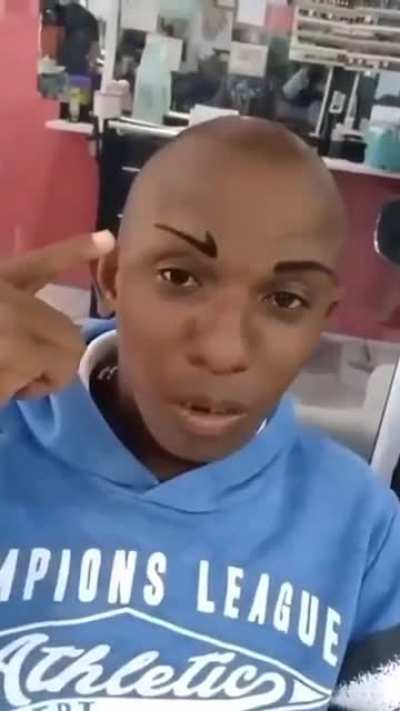 lancei de cria