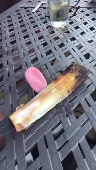 Bone on a table.