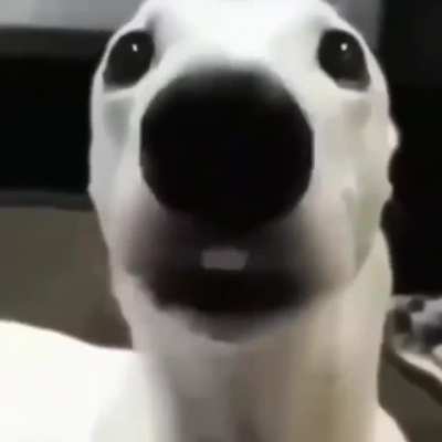 🥶