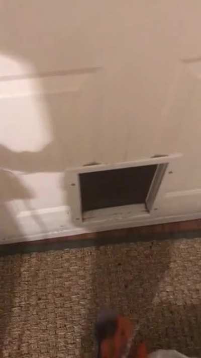 Heard something at the doggy door&hellip;