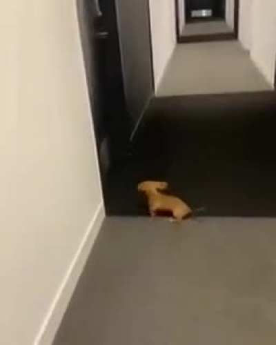Energy level 100 -&amp;gt; 0