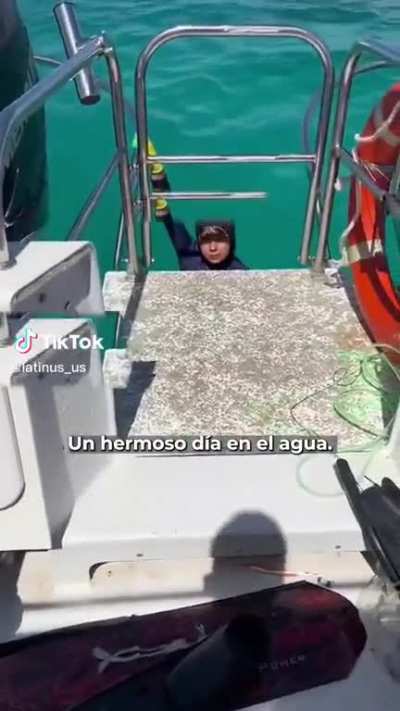 a nice day in the sea