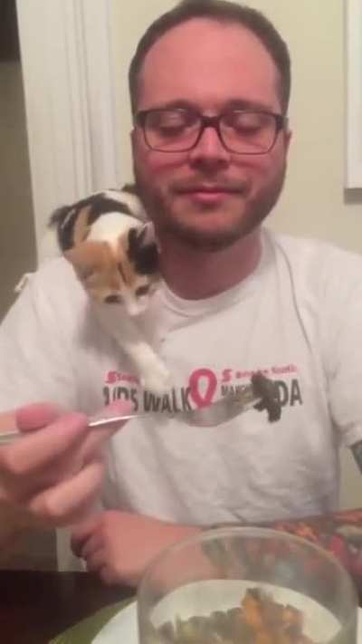 Attempting to sneak food past kitty