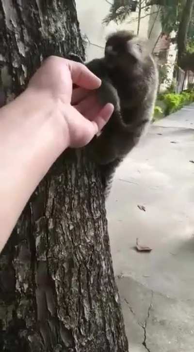 Excuse me ma&rsquo;am I think you dropped this