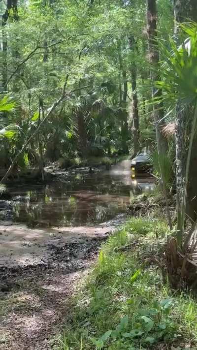 Little water crossing