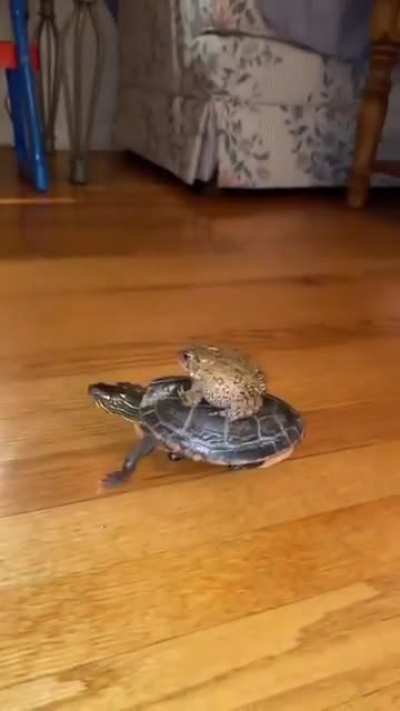 omw to do some "light trolling":
