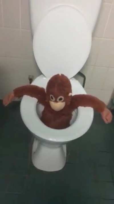 I saw this