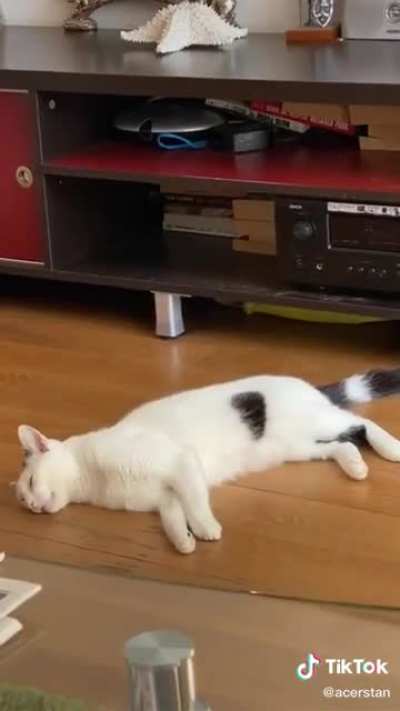 Attacked in her sleep