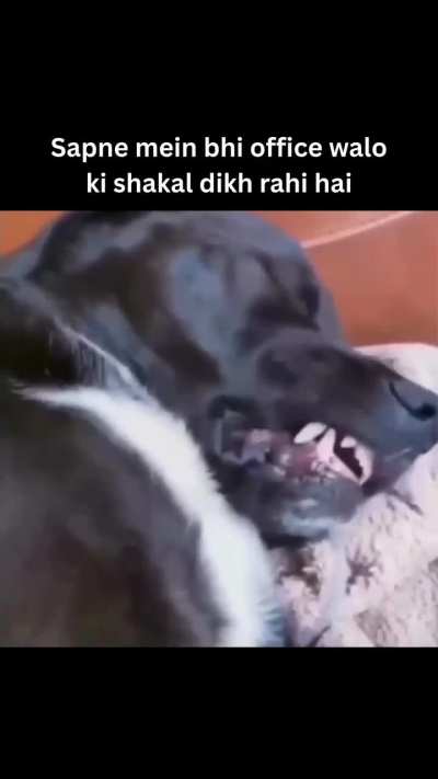 This is so meee!!!!